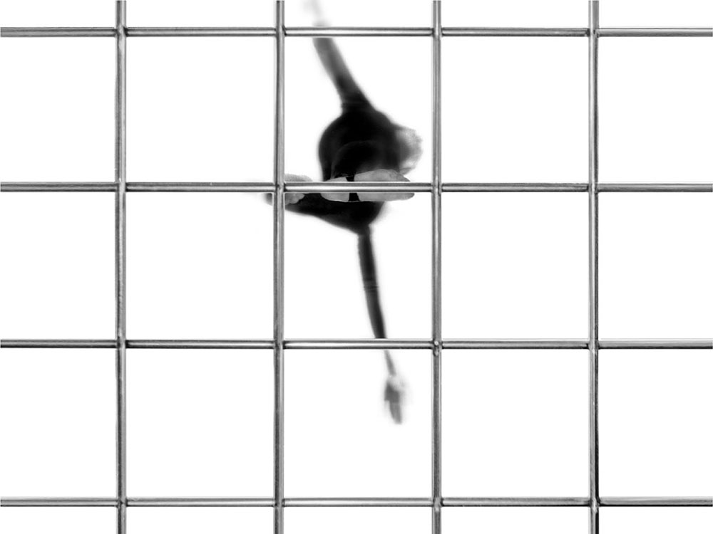 © H.K. — FLIEGEN LERNEN — HOMO AERONAUTICUS 05
