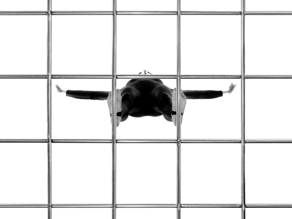 © H.K. - Fliegen Lernen - Flügel spreizen Nr. 03