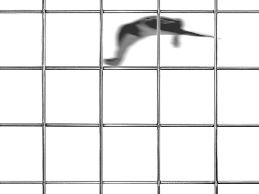 FLIEGEN LERNEN — ABHEBEN 04