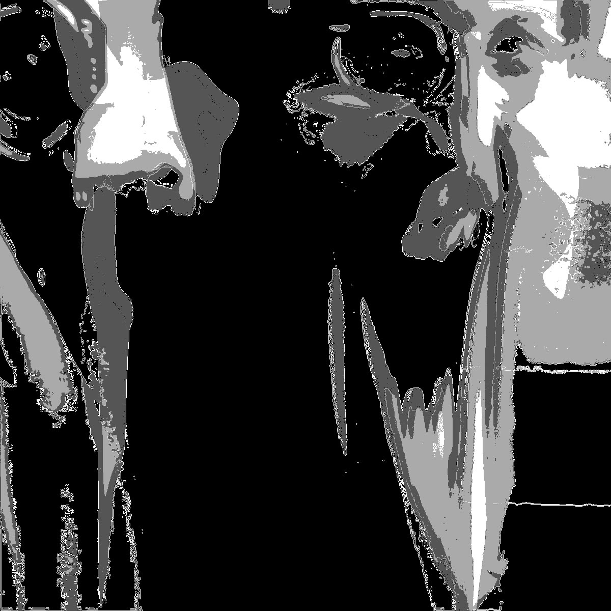 Self 03